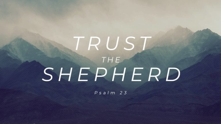 Trust the Shepherd