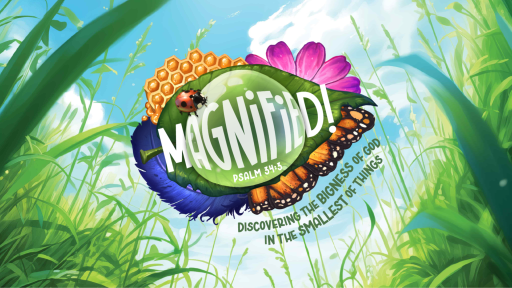 magnified design